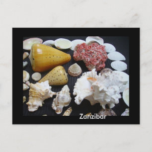 Zanzibar-snäckor Vykort