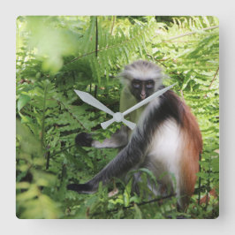 Zanzibar-tangentklocka Fyrkantig Klocka