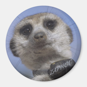 Zaphod - kung av den Kalahari magneten Magnet