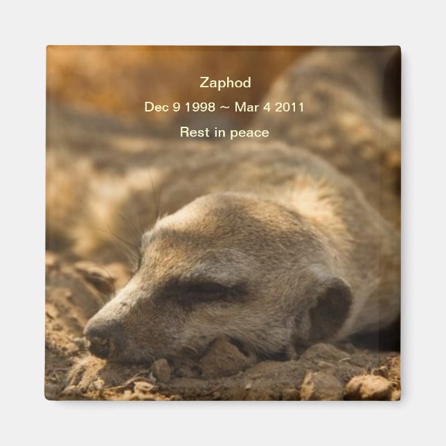 Zaphod_Rest in Peace magnet (Framsidan)