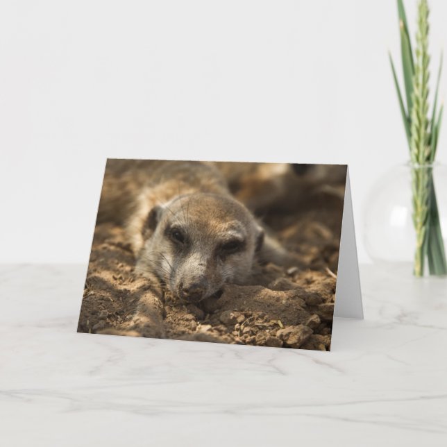 Zaphods kort 4 för 12:efödelsedag (Framsida)