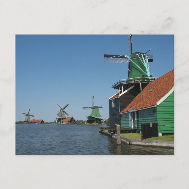 ZaReni Schans Windmills i Nederländerna Vykort (Framsida)