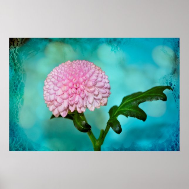 Zauberhafte Blüte Poster (Framsidan)