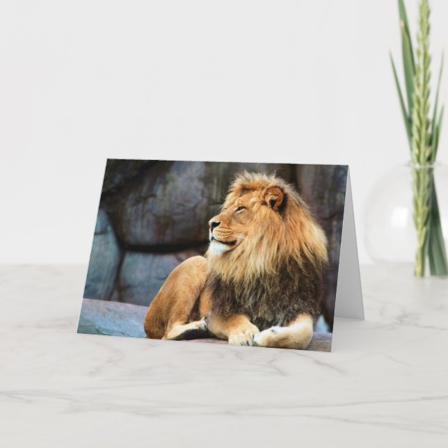 Zawadi Mungu Kort (Framsida)