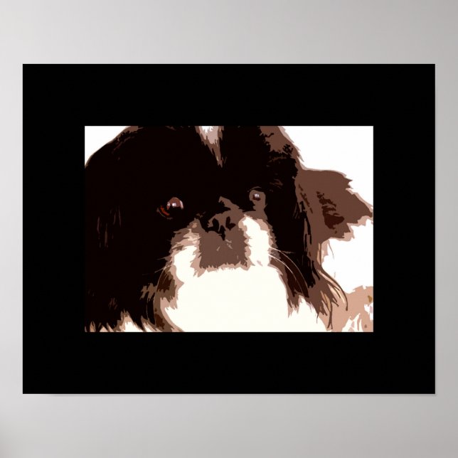 ZaZa Poster (Framsidan)