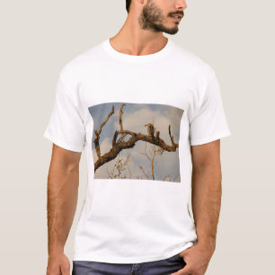 Zazu T-tröja T-shirt