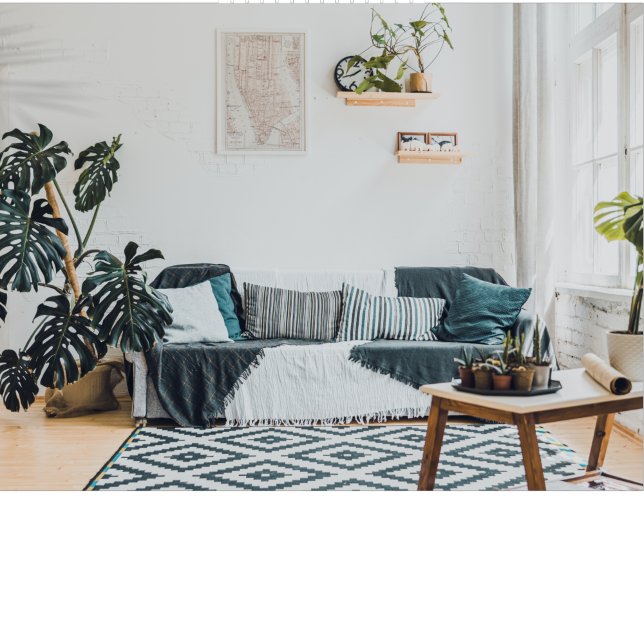 Zazzle Decals Canvastryck (Skapare uppladdad)