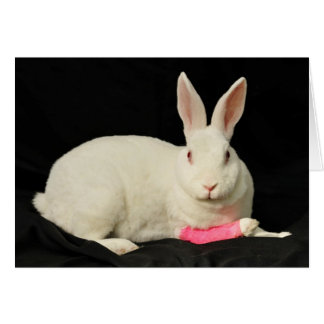 Zazzle Hälsningskort