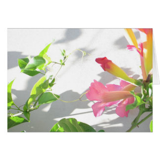 Zazzle II Hälsningskort