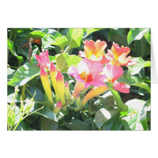 Zazzle III Hälsningskort