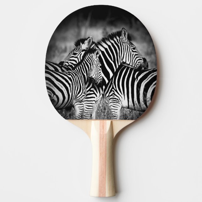 Zazzle of Zebra Pingisracket (Framsidan)