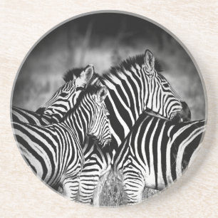 Zazzle of Zebra Underlägg