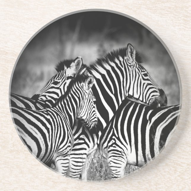 Zazzle of Zebra Underlägg (Framsidan)