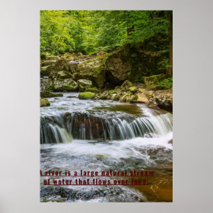 Zazzle vatten naturmåtduva poster
