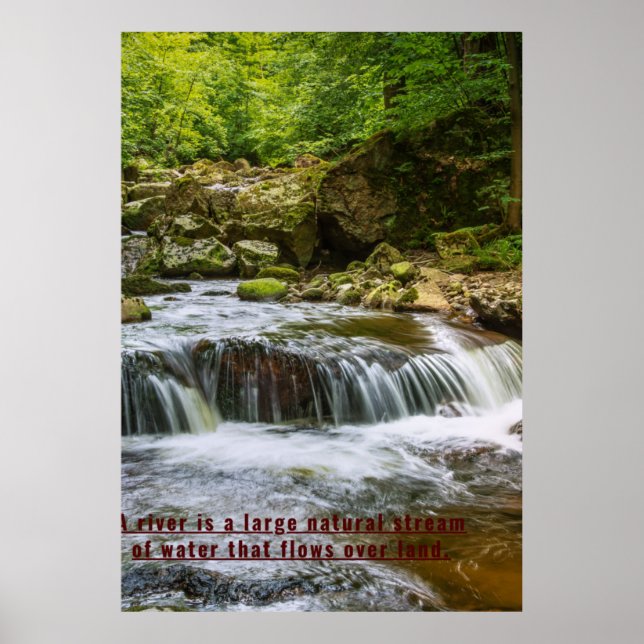 Zazzle vatten naturmåtduva poster (Framsidan)