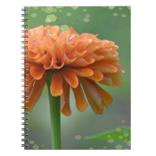 Zazzled Zinnia bärbar dator Anteckningsbok Med Spiral
