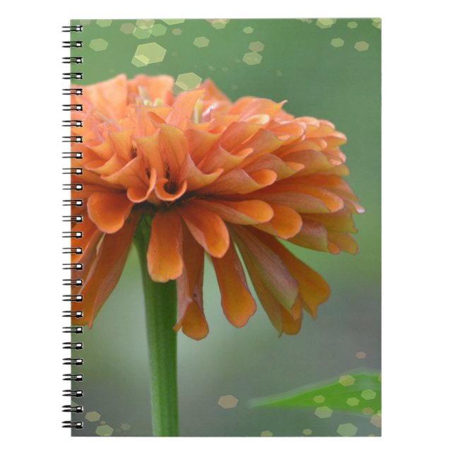 Zazzled Zinnia bärbar dator Anteckningsbok Med Spiral (Framsidan)