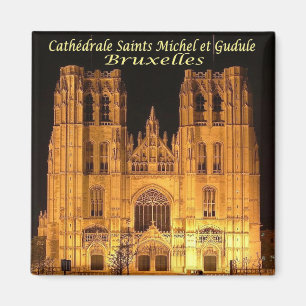 zBE029 BRYSSELS BRUXELLES Cathedral Saints Michel Magnet