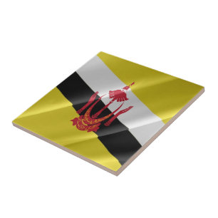 zBN002 Bruneian wave FLAGGA Brunei Kakelplatta