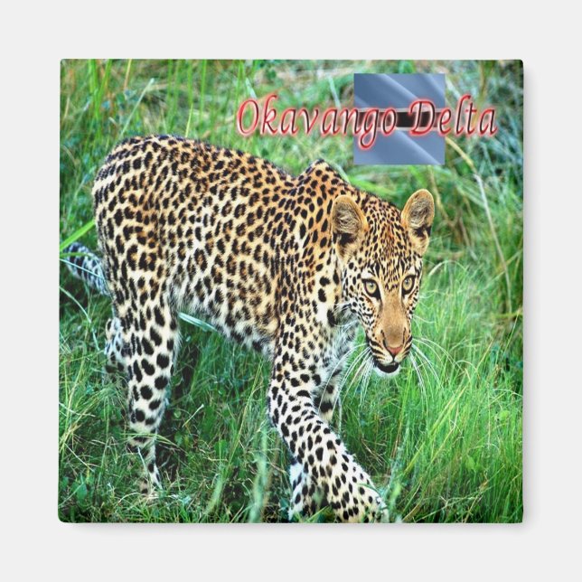 zBW007 OKAVANGO Delta, Ghepard BOTSWANA, Fridge Magnet (Framsidan)