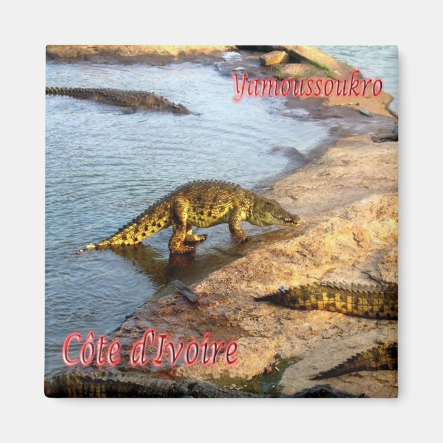 zCI011 YAMOUSSOUKRO, Ivory Kusten, Afrika, Fridge Magnet (Framsidan)