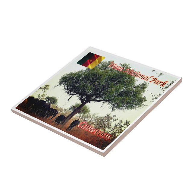 zCM007 WASA N.P. Camerron, Afrika Kakelplatta (Sidan)