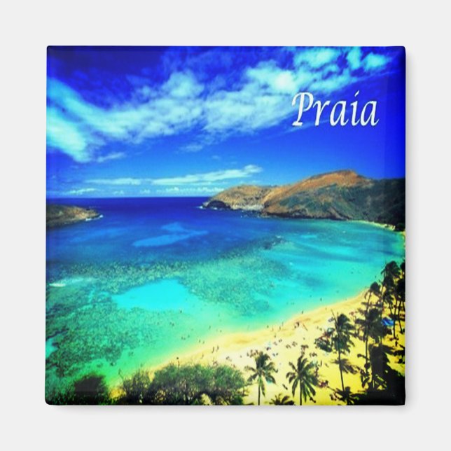 ZCV014 PRAIA, Panorama, Kap Verde, Afrika, Fridge Magnet (Framsidan)