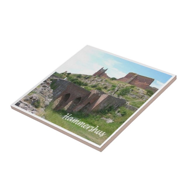 zDK006 HAMMERHSHUS, Frisiska öarna Kakelplatta (Sidan)