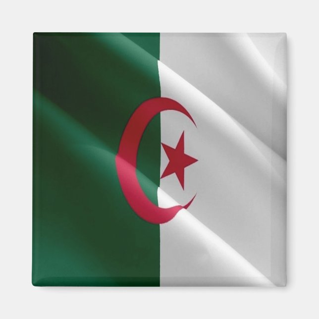 zDZ002 ALGERIA, Waving Flag, Africa, Fridge Magnet (Framsidan)