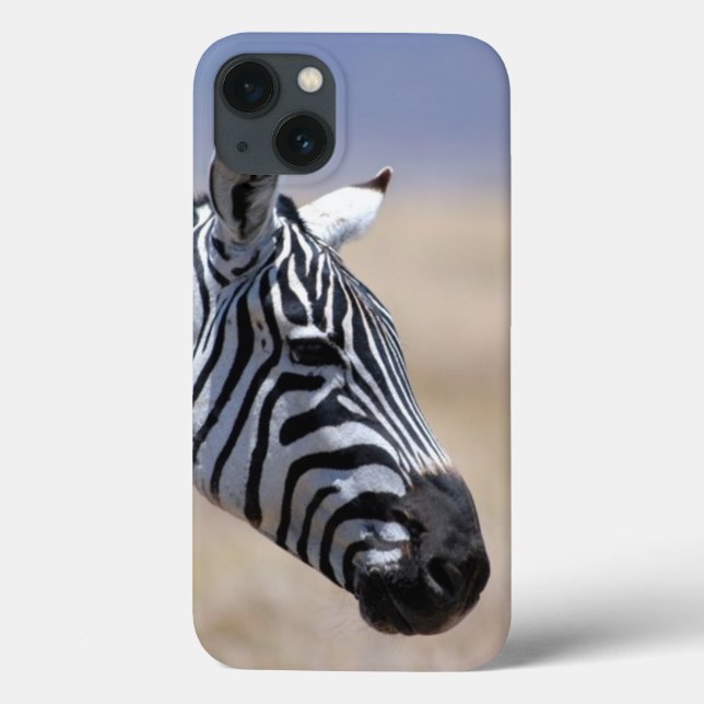 Zebra (Baksida)