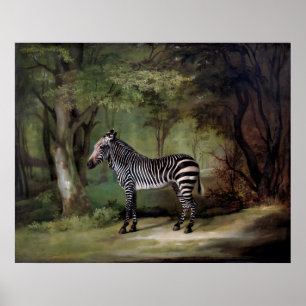 Zebra (1763) målning poster
