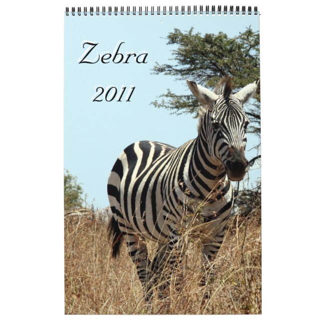 zebra 2011 ensidig kalender (Omslag)