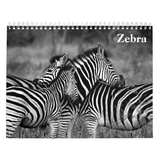 zebra 2025 kalender (Omslag)
