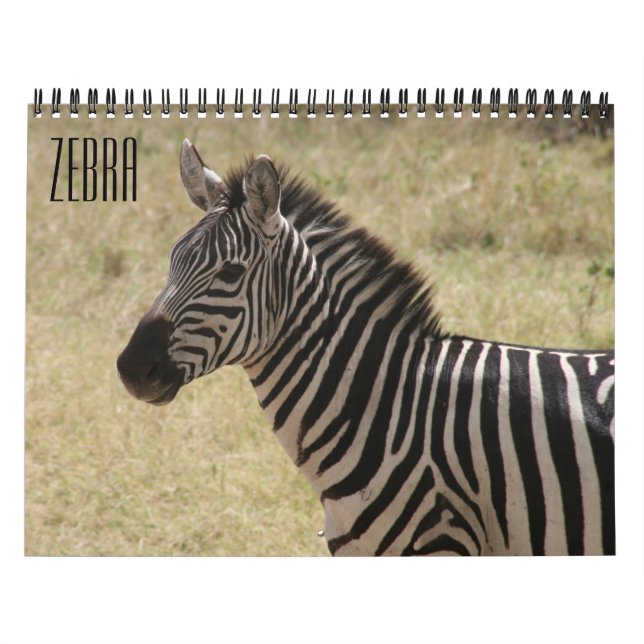 zebra 2025 kalender (Omslag)