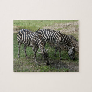Zebra #2 Jigszle Puzzle Pussel