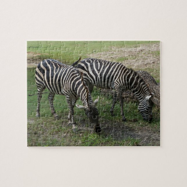 Zebra #2 Jigszle Puzzle Pussel (Horisontell)