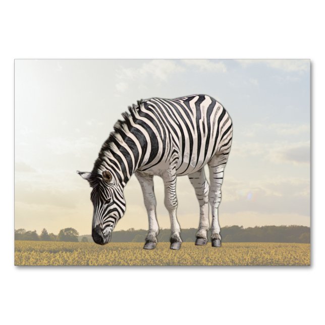 Zebra ABA Tact Labelling Flashcard | Bild-kort Bordsnummer (Framsidan)