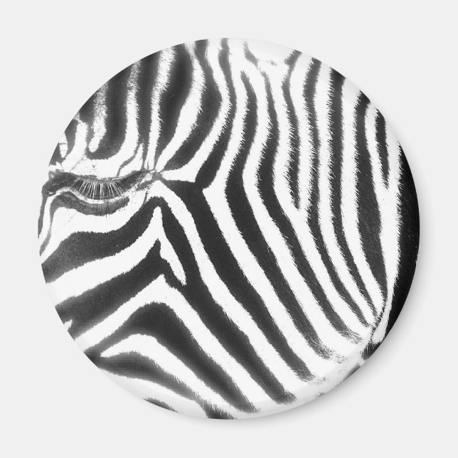 Zebra Abstrakt Magnet (Framsidan)