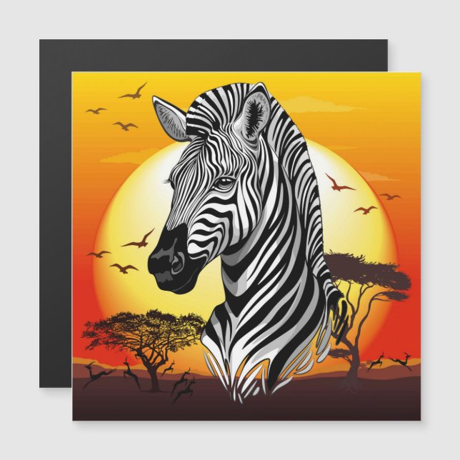 Zebra African Savanna Vild Animal (Fram/baksida)
