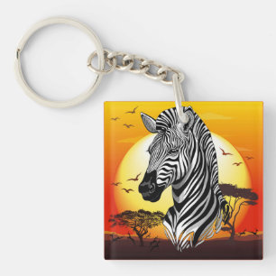 Zebra African Savanna Vild Animal