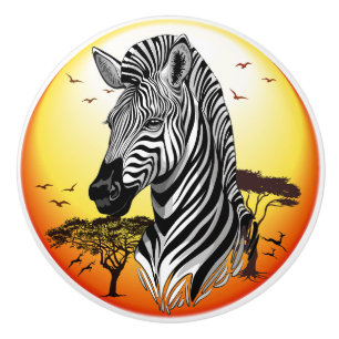 Zebra African Savanna Vild Animal Knopp
