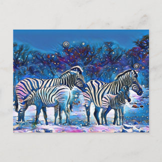 Zebra afrika namibia natur vykort