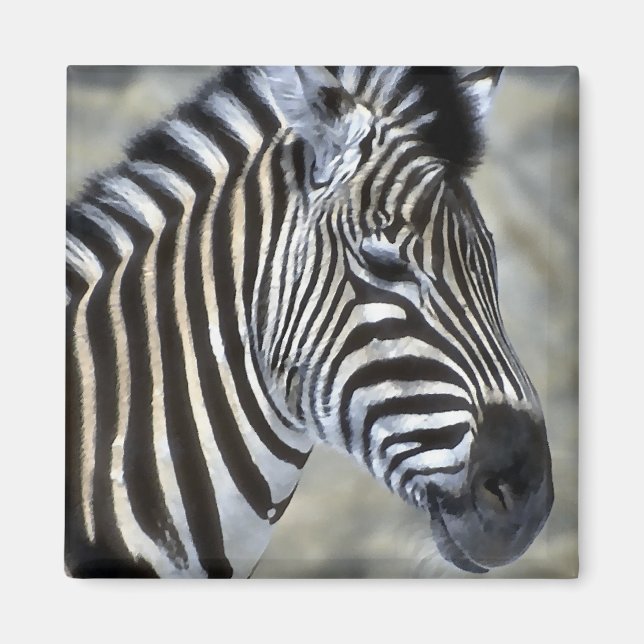 Zebra Älskare Art Gifts Magnet (Framsidan)
