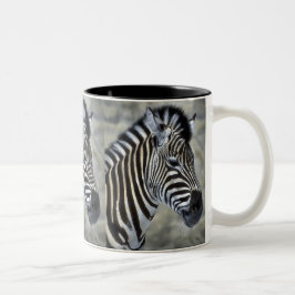 Zebra Älskare Art Gifts Två-Tonad Mugg