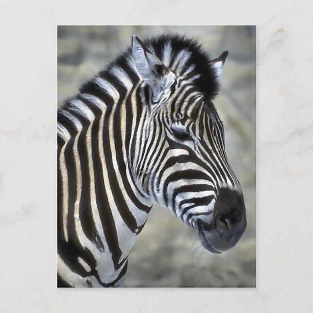 Zebra Älskare Art Gifts Vykort (Framsida)