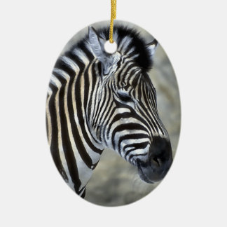 Zebra Älskare Art jul-prydnad Julgransprydnad Keramik