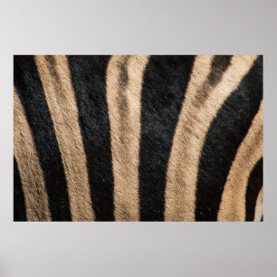 ZEBRA ANIMAL PRINT RAND POSTER