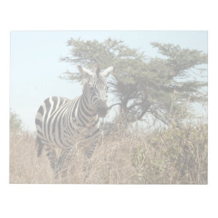 zebra anteckningsblock