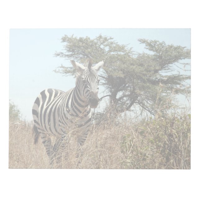 zebra anteckningsblock (Framsida)