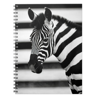 Zebra Anteckningsbok